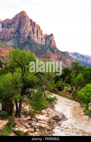 Vista la sentinella rock formazione lungo il fiume vergine in Utah's Zion National Park Foto Stock