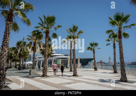 Spagna - Malaga - 24 giugno 2017: alte palme davanti una nave da crociera a Malagueta spiaggia di Malaga, Spagna, Europa su un luminoso giorno di estate Foto Stock