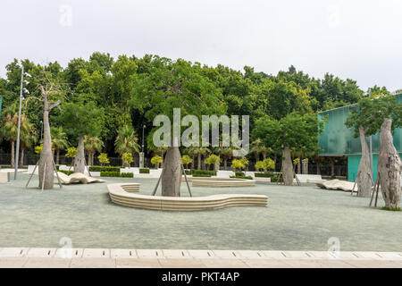 Alberi lungo la spiaggia Malagueta in Spagna a Malaga, l'Europa su una mattina nuvoloso Foto Stock