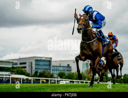 Dublino, dub, STATI UNITI D'AMERICA. Xv Sep, 2018. 15 settembre 2018 : Madhmoon, cavalcato da Kevin Prendergast, vince la Champions KPMG capretti picchetti su campioni irlandesi Stakes giorno a Leopardstown Racecourse, il 15 settembre 2018 a Dublino in Irlanda. Scott Serio/ESW/CSM/Alamy Live News Foto Stock