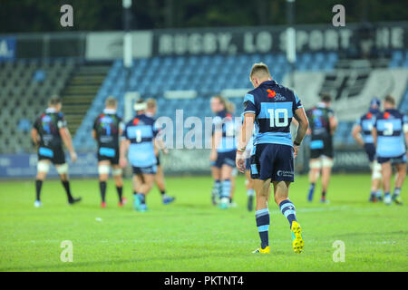 Parma, Italia. 15 Settembre, 2018. Blues' fly metà Gareth Anscombe nella partita contro le zebre in GuinnessPro14 2018/2019©Massimiliano Carnabuci/Alamy Live news Foto Stock