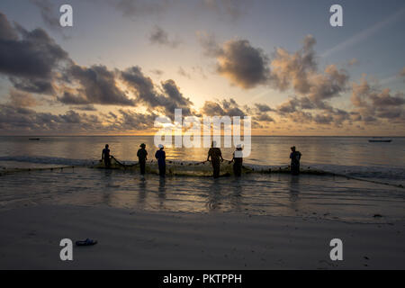 Zanzibar è un isola collegata alla Tanzania nell'Oceano Indiano. Un'isola del cielo con il mare turchese, vegetazione, pescatori e natura unica. Foto Stock