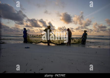 Zanzibar è un isola collegata alla Tanzania nell'Oceano Indiano. Un'isola del cielo con il mare turchese, vegetazione, pescatori e natura unica. Foto Stock