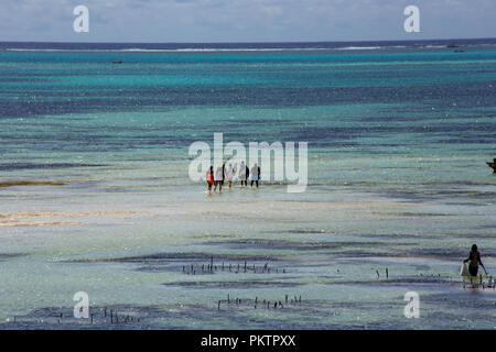 Zanzibar è un isola collegata alla Tanzania nell'Oceano Indiano. Un'isola del cielo con il mare turchese, vegetazione, pescatori e natura unica. Foto Stock