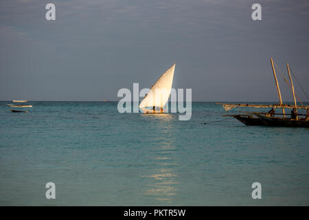 Zanzibar è un isola collegata alla Tanzania nell'Oceano Indiano. Un'isola del cielo con il mare turchese, vegetazione, pescatori e natura unica. Foto Stock