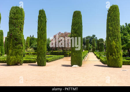 Cordoba, Spagna - 20 Giugno 2017: Piante e liane nei giardini dell'Alcazar de los Reyes Cristianos, Cordoba, Spagna, Europa, Andalusia Foto Stock