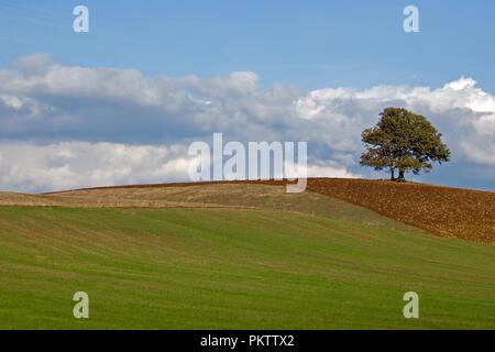 nature of italian countryside Foto Stock