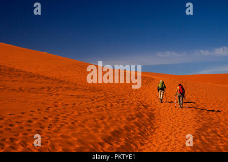 Gli escursionisti a piedi nel namib national par al sossusvlei Foto Stock