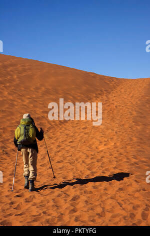 Gli escursionisti a piedi nel namib national par al sossusvlei Foto Stock