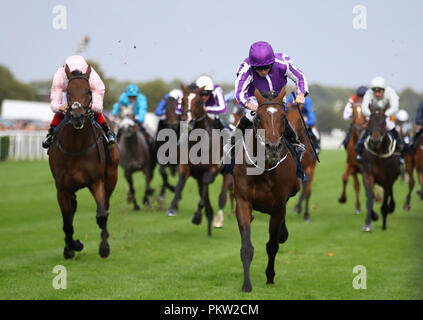 I Giardini di Kew cavalcato da Ryan Moore vince la William Hill St Leger Stakes durante il giorno quattro del 2018 William Hill St Leger Festival a Doncaster Racecourse, Doncaster. Foto Stock