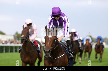 I Giardini di Kew cavalcato da Ryan Moore vince la William Hill St Leger Stakes durante il giorno quattro del 2018 William Hill St Leger Festival a Doncaster Racecourse, Doncaster. Foto Stock