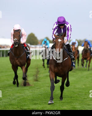 I Giardini di Kew cavalcato da Ryan Moore vince la William Hill St Leger Stakes durante il giorno quattro del 2018 William Hill St Leger Festival a Doncaster Racecourse, Doncaster. Foto Stock