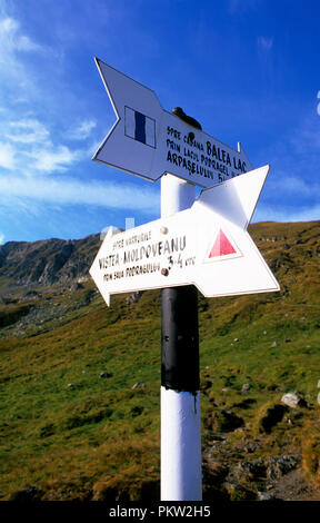 Segno per il Monte Moldoveanu, il picco più alto in Romania nei Monti Fagaras in Transilvania. Si tratta di 2543 metri sopra il livello del mare. Settembre 2005. Foto Stock