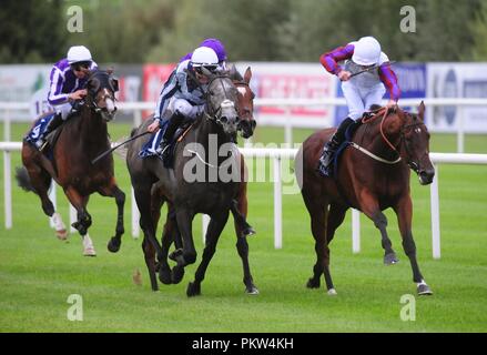 Laurens cavalcato da Daniel Tudhope (destra) vincere il Coolmore Fastnet Rock matrona picchetti durante il giorno uno del 2018 Longines Irish Champions Weekend a Leopardstown Racecourse, Dublino. Foto Stock