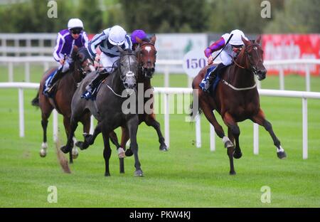 Laurens cavalcato da Daniel Tudhope (destra) vincere il Coolmore Fastnet Rock matrona picchetti durante il giorno uno del 2018 Longines Irish Champions Weekend a Leopardstown Racecourse, Dublino. Foto Stock