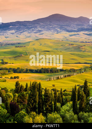 Incantevole paesaggio toscano al tramonto, con colline e filari di cipressi Foto Stock