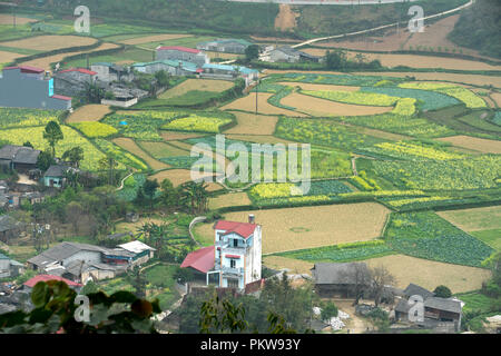 Fairy seno si trova in Tam figlio town, Quan Ba distretto, Ha Giang Provincia, Vietnam. Foto Stock