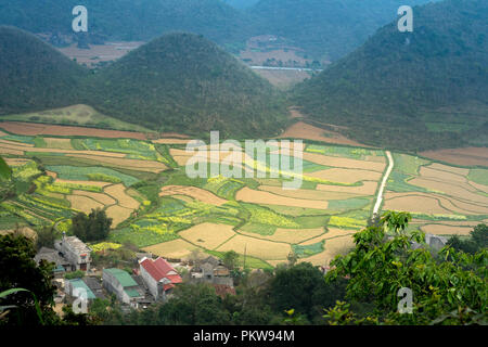 Fairy seno si trova in Tam figlio town, Quan Ba distretto, Ha Giang Provincia, Vietnam. Foto Stock