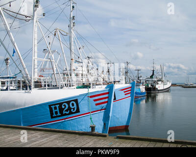 Puzza di pesca nel porto di pesca di Gilleleje, Danimarca. Foto Stock