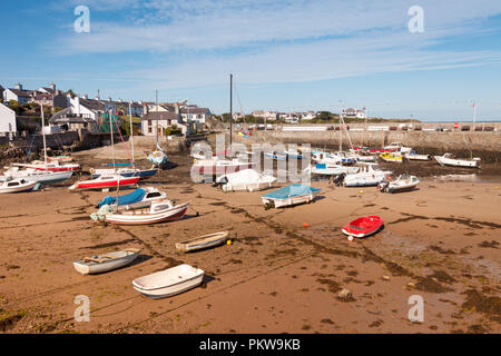 Porto di Camaes, Anglesey, Galles, UK a bassa marea Foto Stock