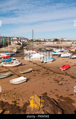 Porto di Camaes, Anglesey, Galles, UK a bassa marea Foto Stock