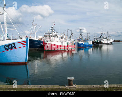 Puzza di pesca nel porto di pesca di Gilleleje, Danimarca. Foto Stock