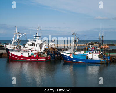 Puzza di pesca nel porto di pesca di Gilleleje, Danimarca. Foto Stock