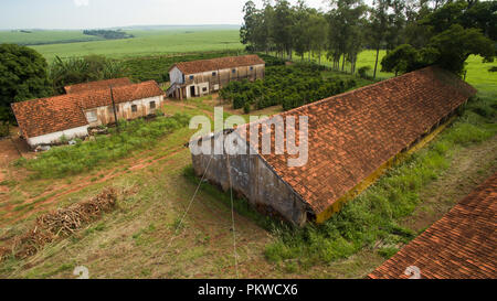 Piantagione di caffè. Casa della gallina. Casa semplice. Foto Stock