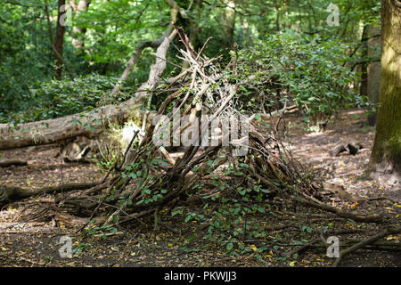 Ramoscelli, rami e registri accatastati insieme per costruire un den all'aperto nella foresta e boschi Foto Stock