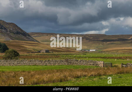 North Pennines AONB Paesaggio, Cronkley cicatrice e Widdybank Farm su del The Pennine Way a lunga distanza sentiero in forte autunno di sole e un cielo scuro Foto Stock