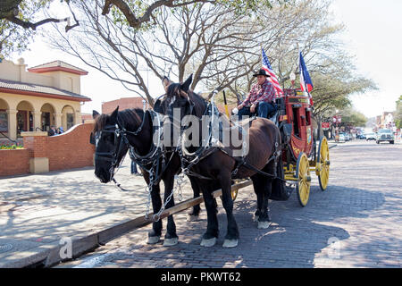 Staycation. Vecchia carrozza trainata da cavalli occidentali. Bandiera americana, bandiera del Texas. Autista con cappello da cowboy e camicia in flanella. Fort Worth Stockyards, Texas. Foto Stock