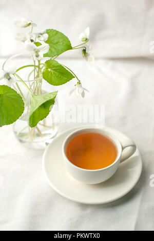 Bouquet di fiori whitebells in un vaso di vetro e la tazza di tè alle erbe. Snowdrop viola ancora in vita. La decorazione floreale. In primavera ed estate il tempo minimo di clos Foto Stock