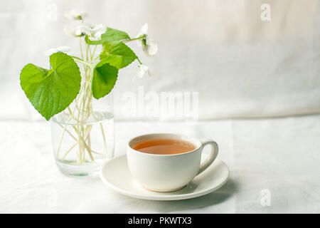 Bouquet di fiori whitebells in un vaso di vetro e la tazza di tè alle erbe. Snowdrop viola ancora in vita. La decorazione floreale. In primavera ed estate il tempo minimo di clos Foto Stock