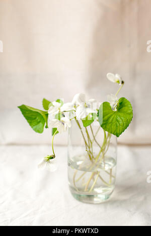 Bouquet di fiori whitebells in un vaso di vetro. Snowdrop viola ancora in vita. La decorazione floreale. In primavera ed estate il tempo minimo di close up Foto Stock