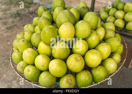 Scimmia fresche mele raccolte da parte degli agricoltori Foto Stock