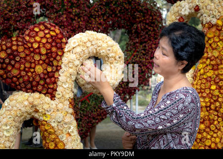 Un affascinante donna in costume tradizionale "Ao Dai' a Tao Dan Park Foto Stock