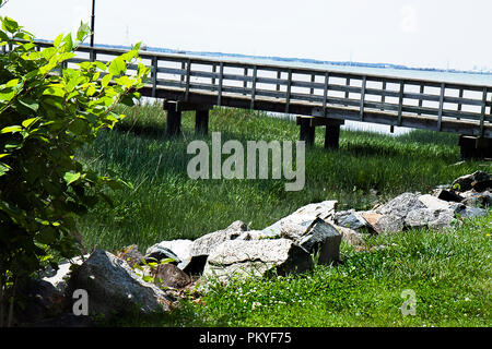 Ponte di legno utilizzato per camminare su una verde zona paludosa . New Scenic 5 posti con lussureggianti pants nd rocce. Foto Stock