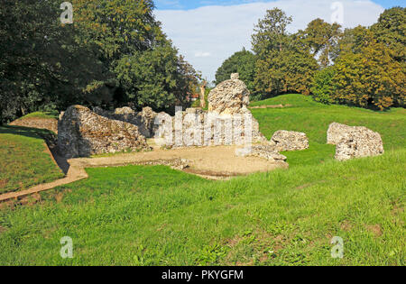 Le rovine di un Vescovo normanno la cappella sul sito di una Cattedrale anglosassone a North Elmham, Norfolk, Inghilterra, Regno Unito, Europa. Foto Stock
