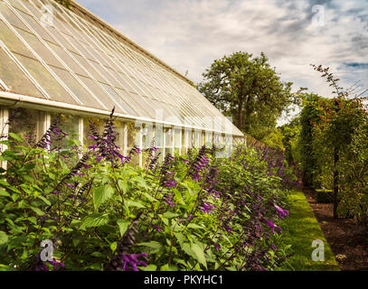 Grande serra nel bellissimo giardino verde. Foto Stock