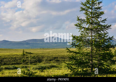 Foothill tundra. Estate paesaggio polare. Foto Stock
