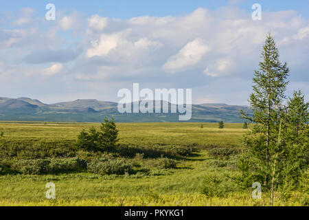Foothill tundra. Estate paesaggio polare. Foto Stock