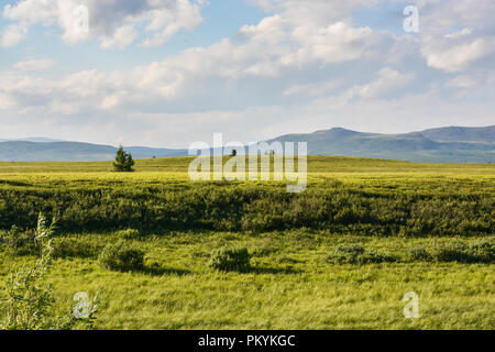 Foothill tundra. Estate paesaggio polare. Foto Stock