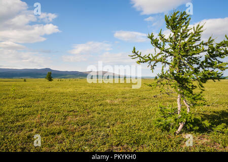 Foothill tundra. Estate paesaggio polare. Foto Stock