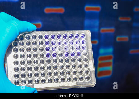 Laboratorio di test del DNA. Piastra a 96 pozzetti sullo sfondo dell'immagine dell'elettroforesi. Foto Stock