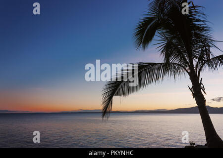 Tramonto della spiaggia tropicale con Palm tree nelle isole Figi Foto Stock