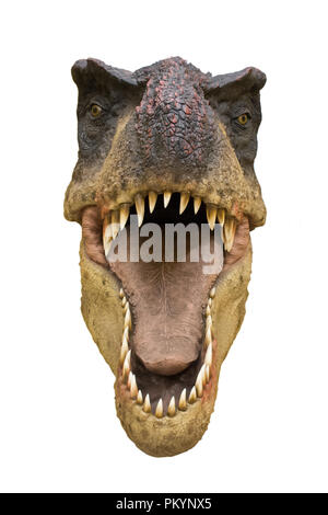 Tyrannosaurus rex isolati su sfondo bianco Foto Stock
