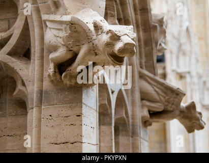 Gargoyle, dettaglio sulla facciata della cattedrale di Zagabria, Croazia Foto Stock