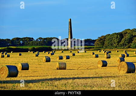 Seaton Hall Deleval obelisco in campi di mais al tramonto Foto Stock