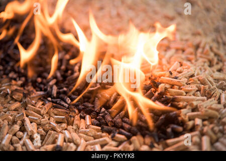 Pila di bruciando legno di faggio pellet - riscaldamento domestico Foto Stock