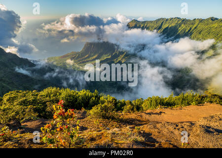 Vista della Valle Kalalau dal punto di vista alla fine dell'autostrada, ke'e stato parco Foto Stock